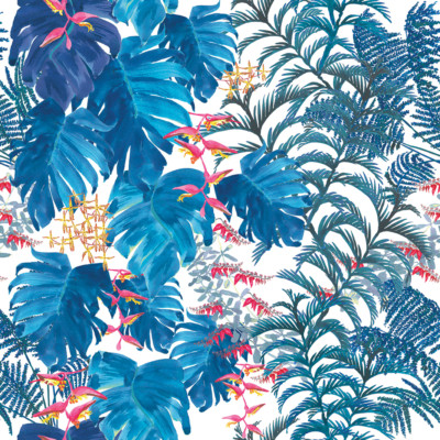 tropics-blueWS