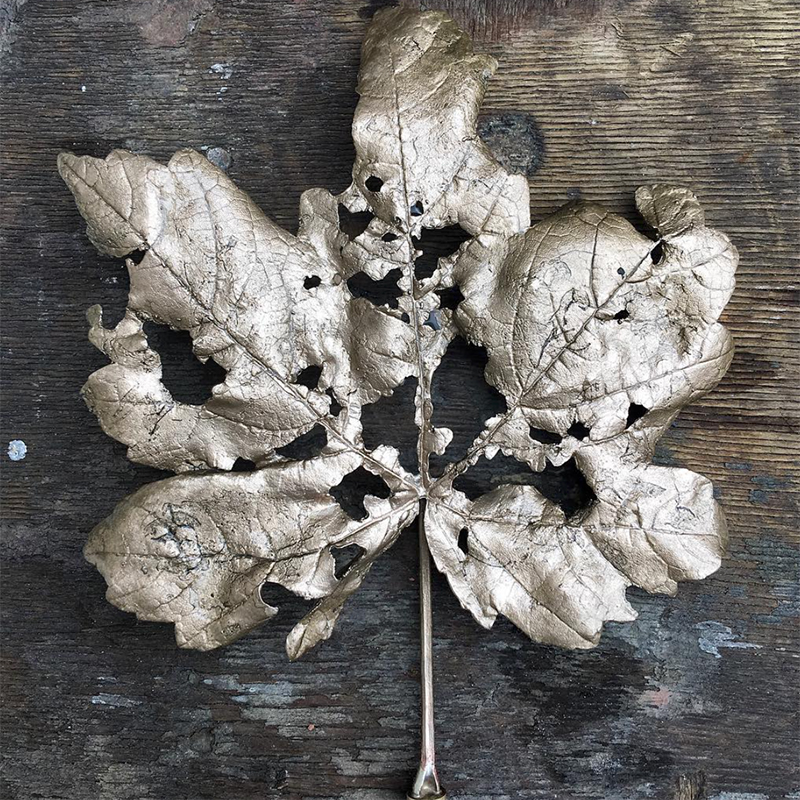 Ashleaf - Bronze Sycamore leaf